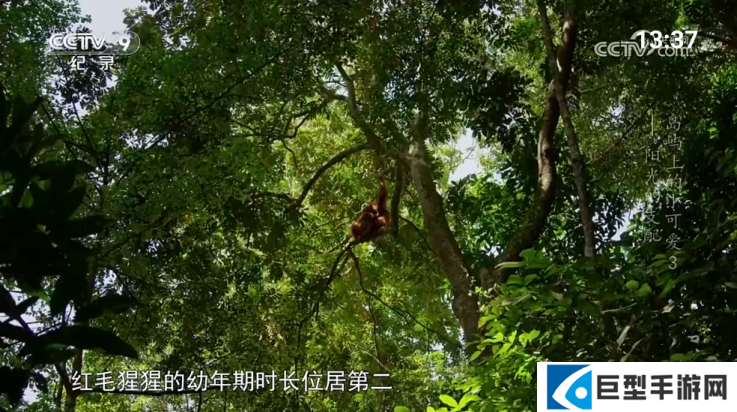 宝盒爱看安卓版下载