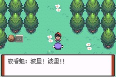 口袋妖怪特别篇赤破解版中文版新手攻略8