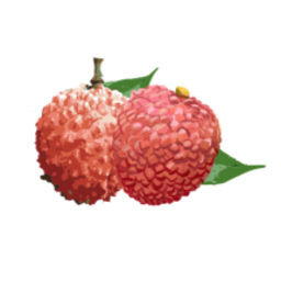 增城泊车app下载