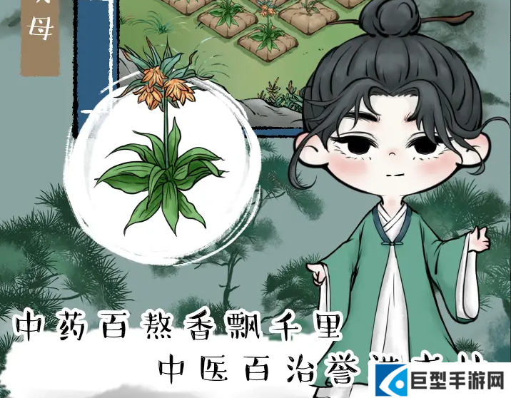 中药铺子药方大全