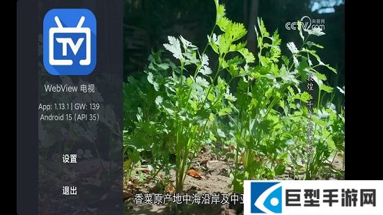 webview电视版安装包下载