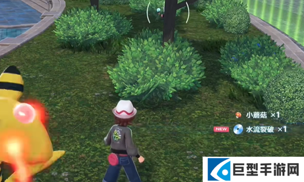 宝可梦传说ZA水流裂破技能在哪图七 宝可梦传说ZA水流裂破技能在哪图七