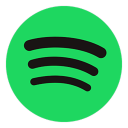spotify音乐增强版下载
