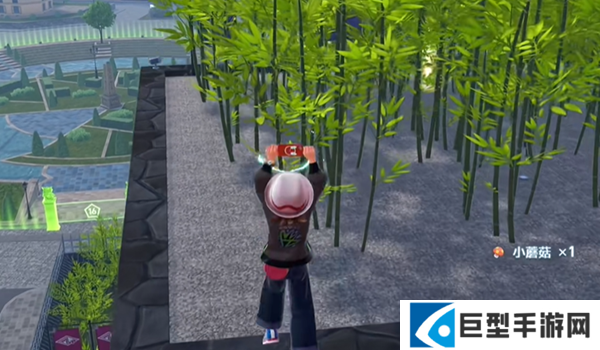 宝可梦传说ZA龙之波动技能在哪图五