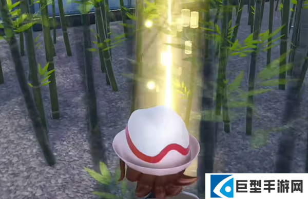 宝可梦传说ZA龙之波动技能在哪图六