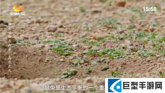 七星电视2026最新版本下载