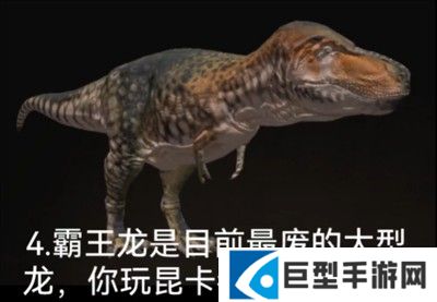 泰坦之路国际服