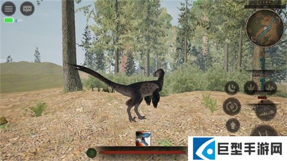 泰坦之路国际服