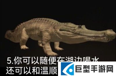 泰坦之路国际服