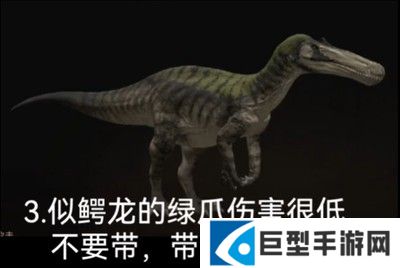 泰坦之路国际服