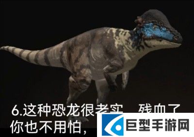 泰坦之路国际服