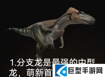 泰坦之路国际服