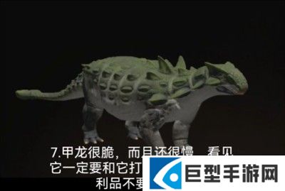 泰坦之路国际服