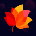 秋叶直播APP安卓版免费直播软件下载