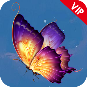 蝴蝶影院APP安卓版下载