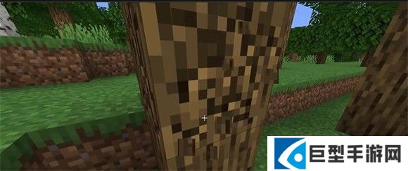 我的世界基岩版