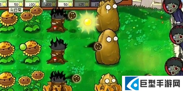 植物大战僵尸火影版