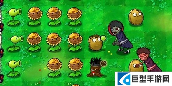 植物大战僵尸火影版