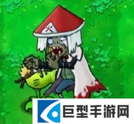植物大战僵尸火影版