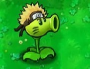 植物大战僵尸火影版