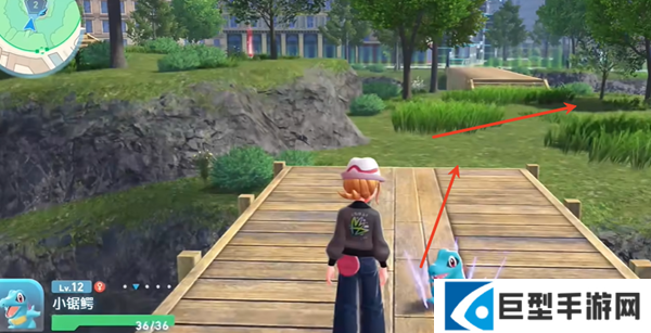 宝可梦传说ZA高速星星招式学习器在哪图二