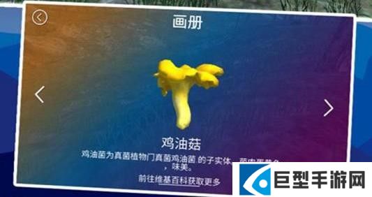 真实采集蘑菇模拟器