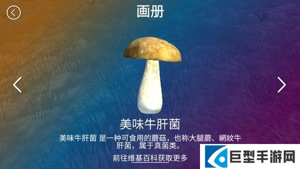 真实采集蘑菇模拟器