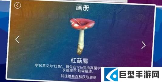 真实采集蘑菇模拟器