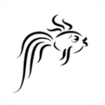 木鱼影视app安卓版下载