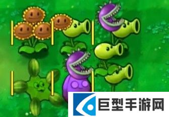 植物大战僵尸嫁接版