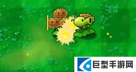 植物大战僵尸嫁接版