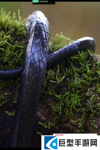 安卓4k视频播放器下载安装