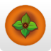 小柿饼APPapp免费下载