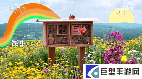 宽带电视app下载