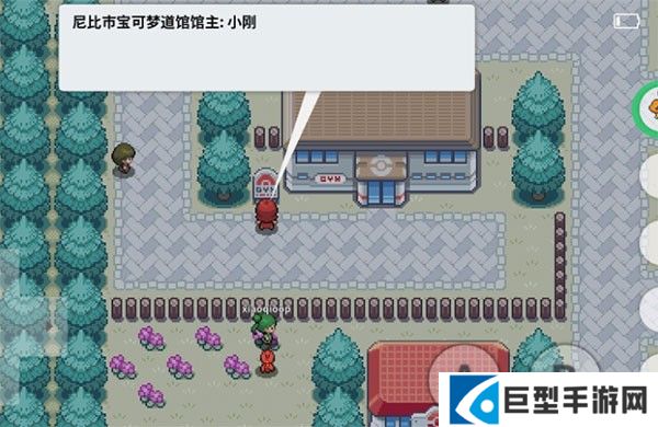 PokeMMO