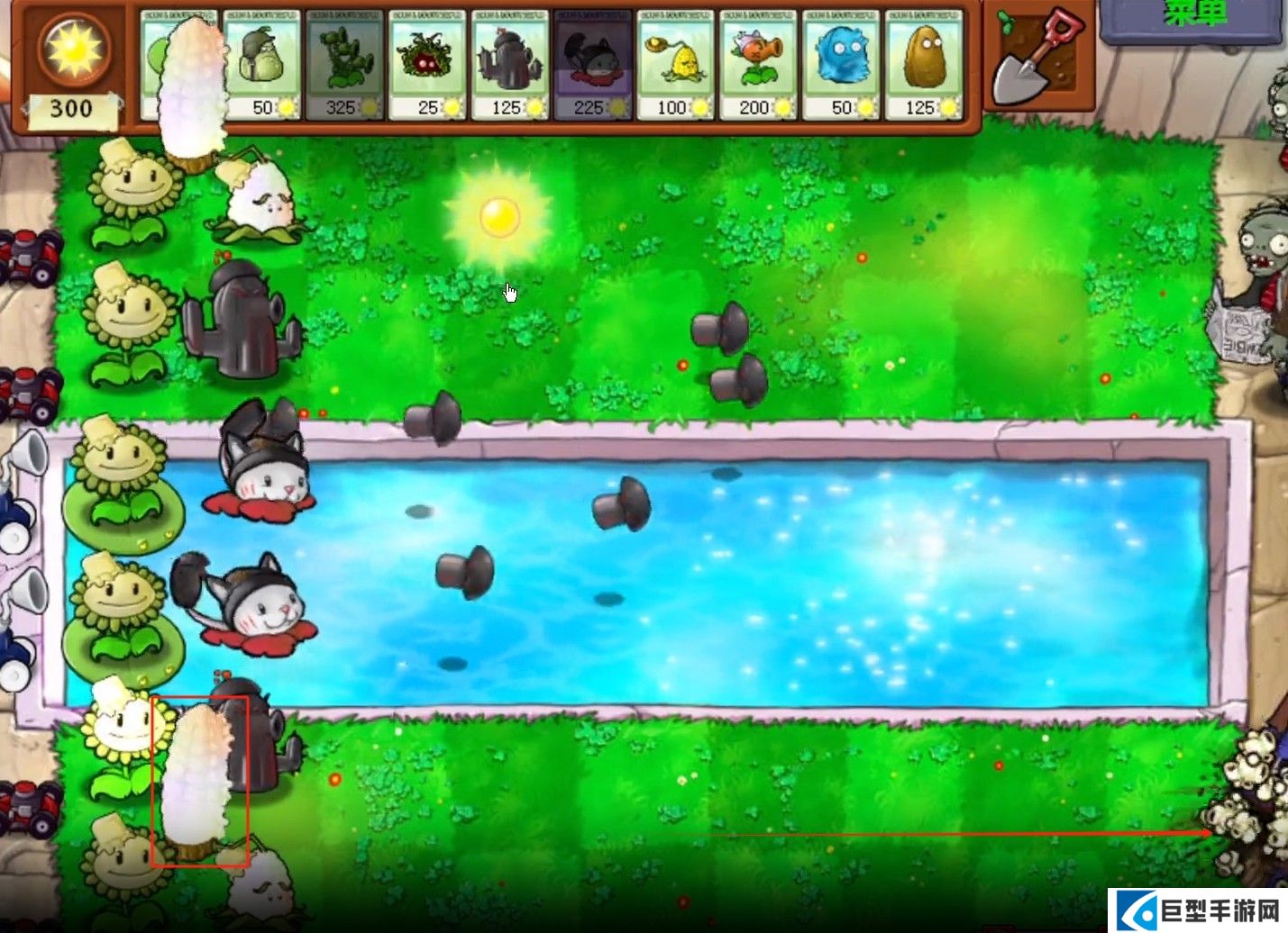 植物大战僵尸无双版