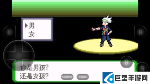 口袋妖怪空之花神补完汉化版