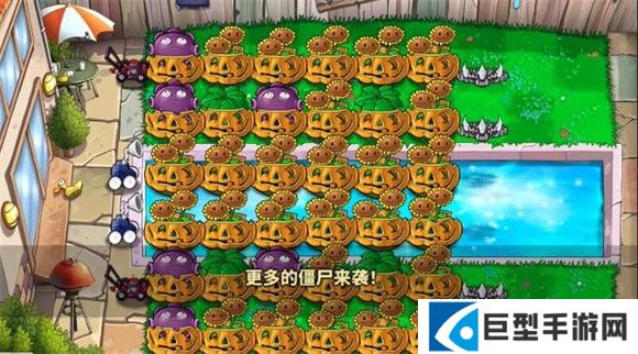 植物娘大战僵尸官方版