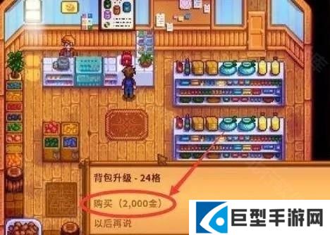 星露谷物语千杯寒雪美化