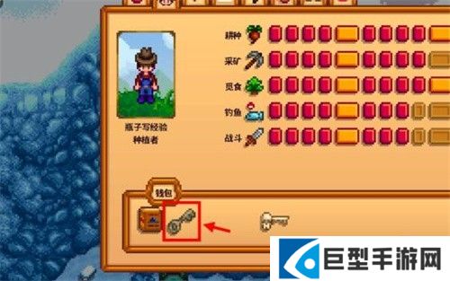 星露谷物语千杯寒雪美化