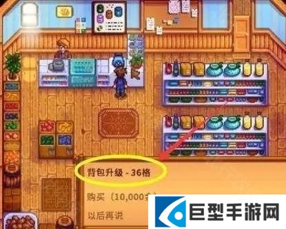 星露谷物语千杯寒雪美化