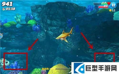 饥饿鲨世界前期怎么玩11