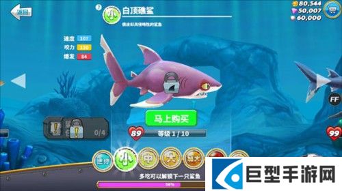 饥饿鲨世界2025年破解版游戏截图11