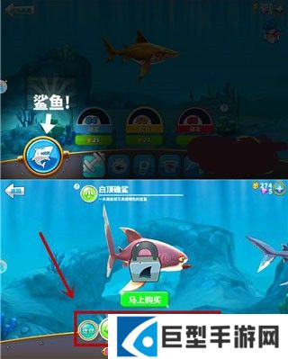 饥饿鲨世界前期怎么玩3