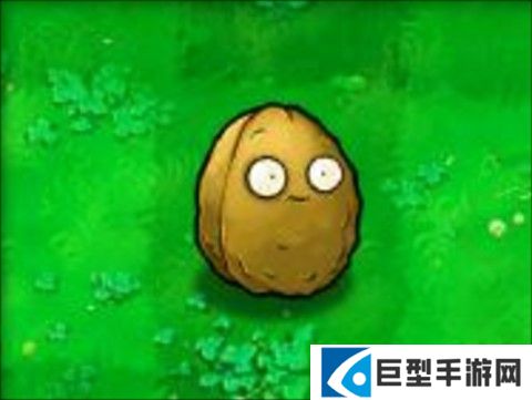 植物大战僵尸tv对战版
