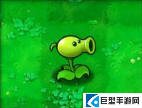 植物大战僵尸tv对战版